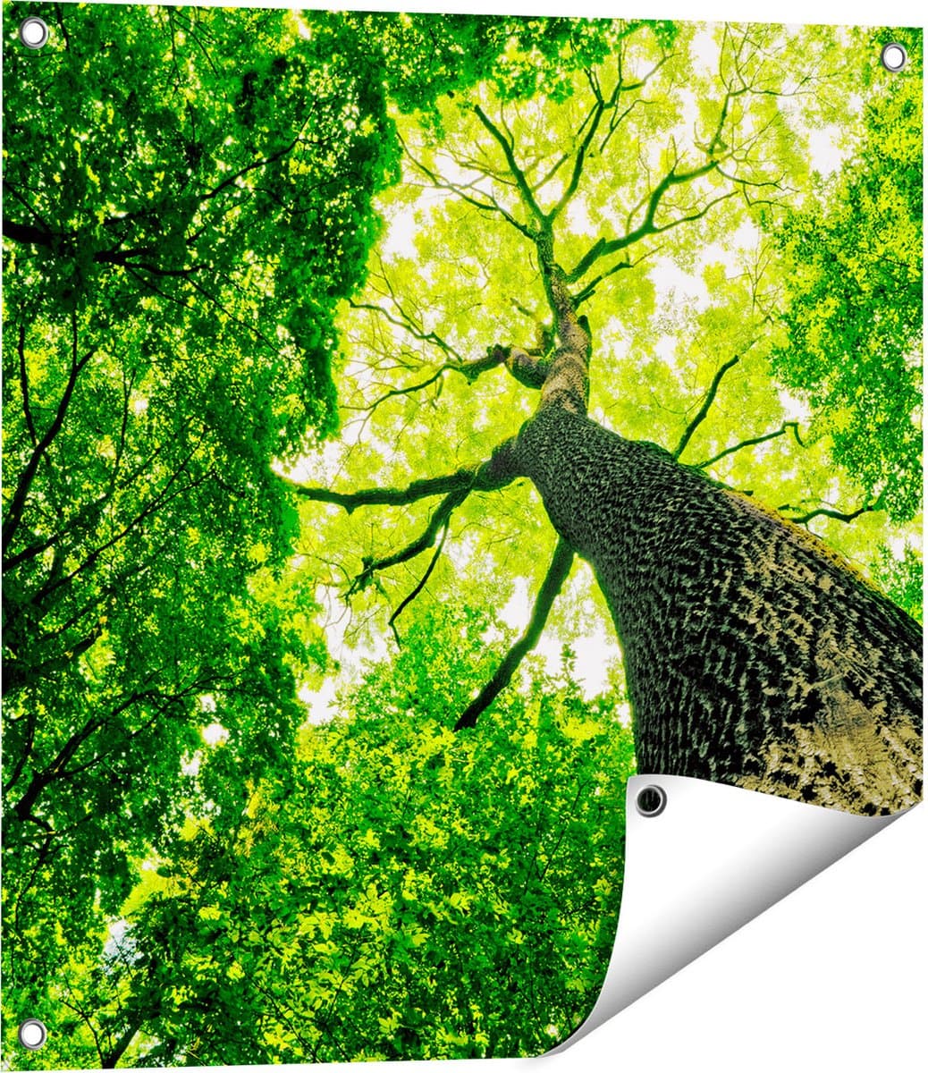 Gards Tuinposter Boom in het Bos met Fel Groene Bladeren - 60x60 cm - Tuindoek - Tuindecoratie - Wanddecoratie buiten - Tuinschilderij