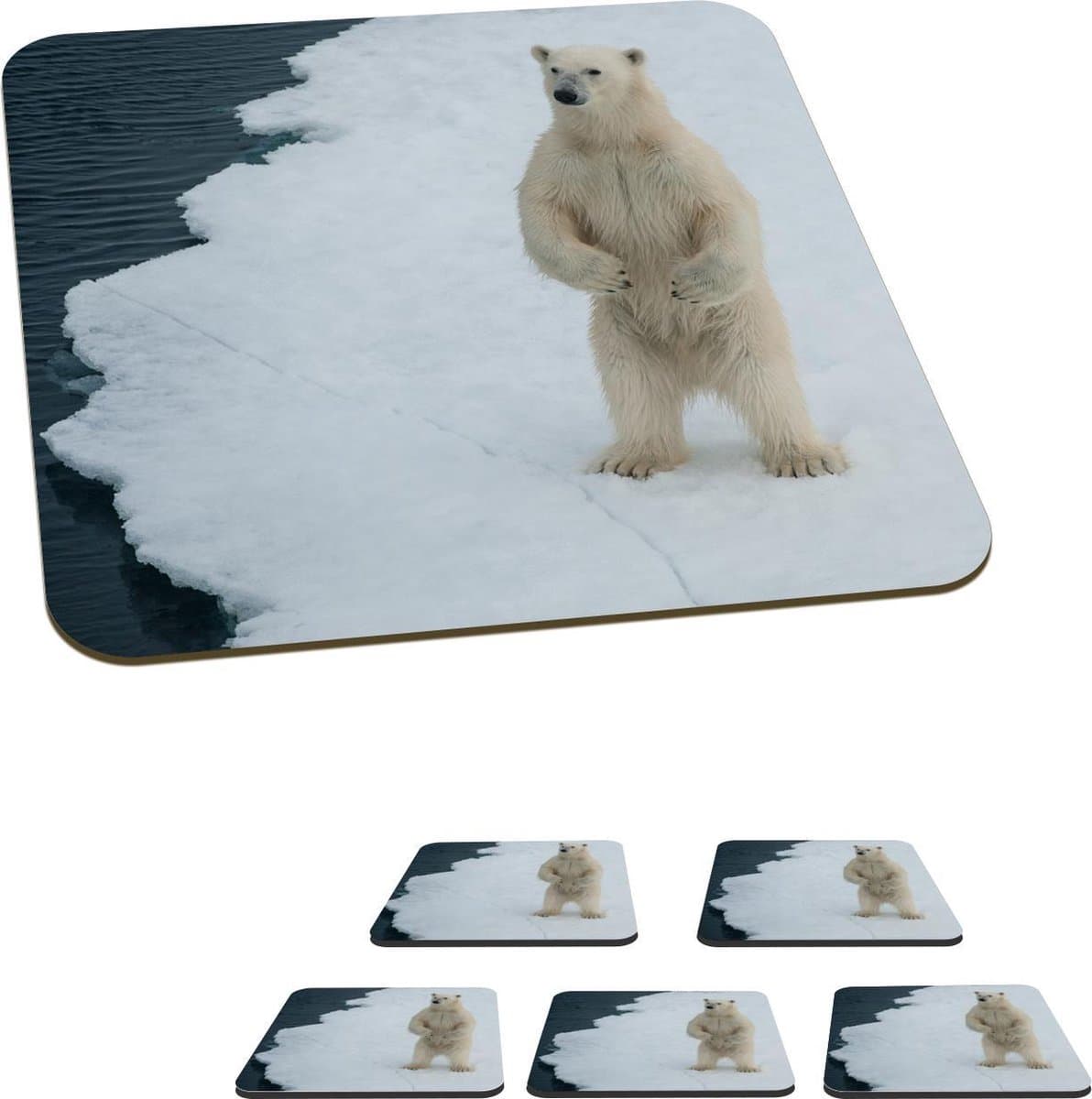 Onderzetters voor glazen - IJsbeer - IJs - Water - 10x10 cm - Glasonderzetters - 6 stuks