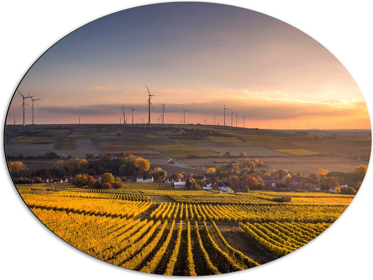 Dibond Ovaal - Windmolens aan Rand van Dorp - 80x60 cm Foto op Ovaal (Met Ophangsysteem)