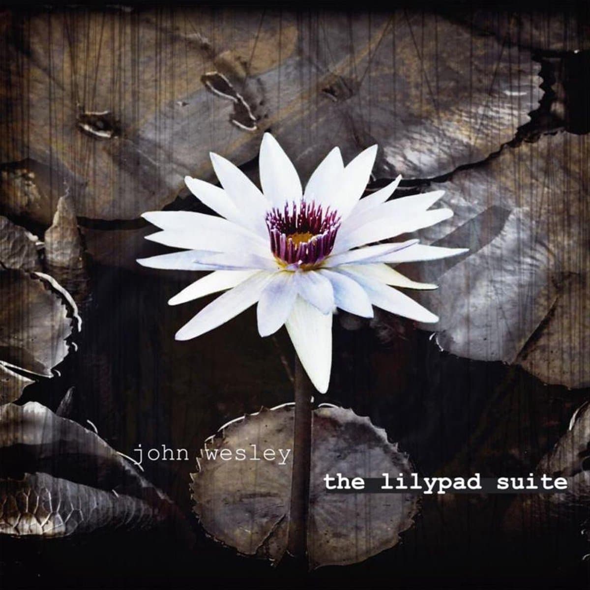 Lillipad Suite