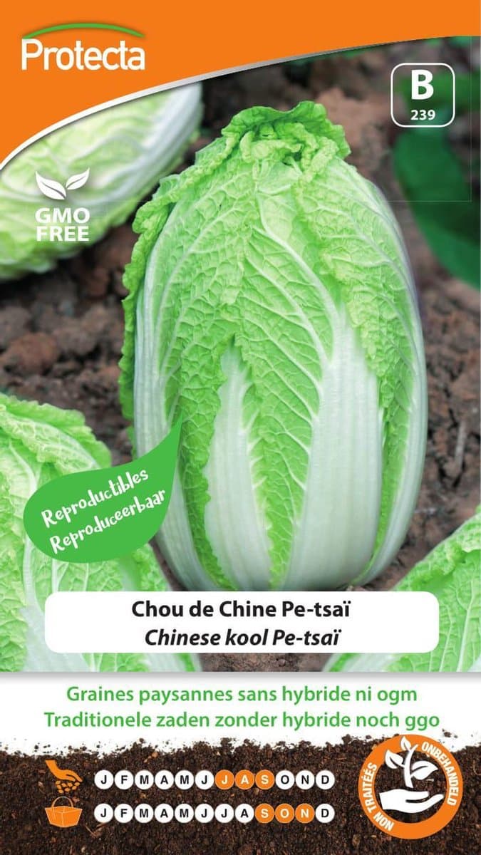Protecta Groente zaden: Chinese kool Pe-tsaï