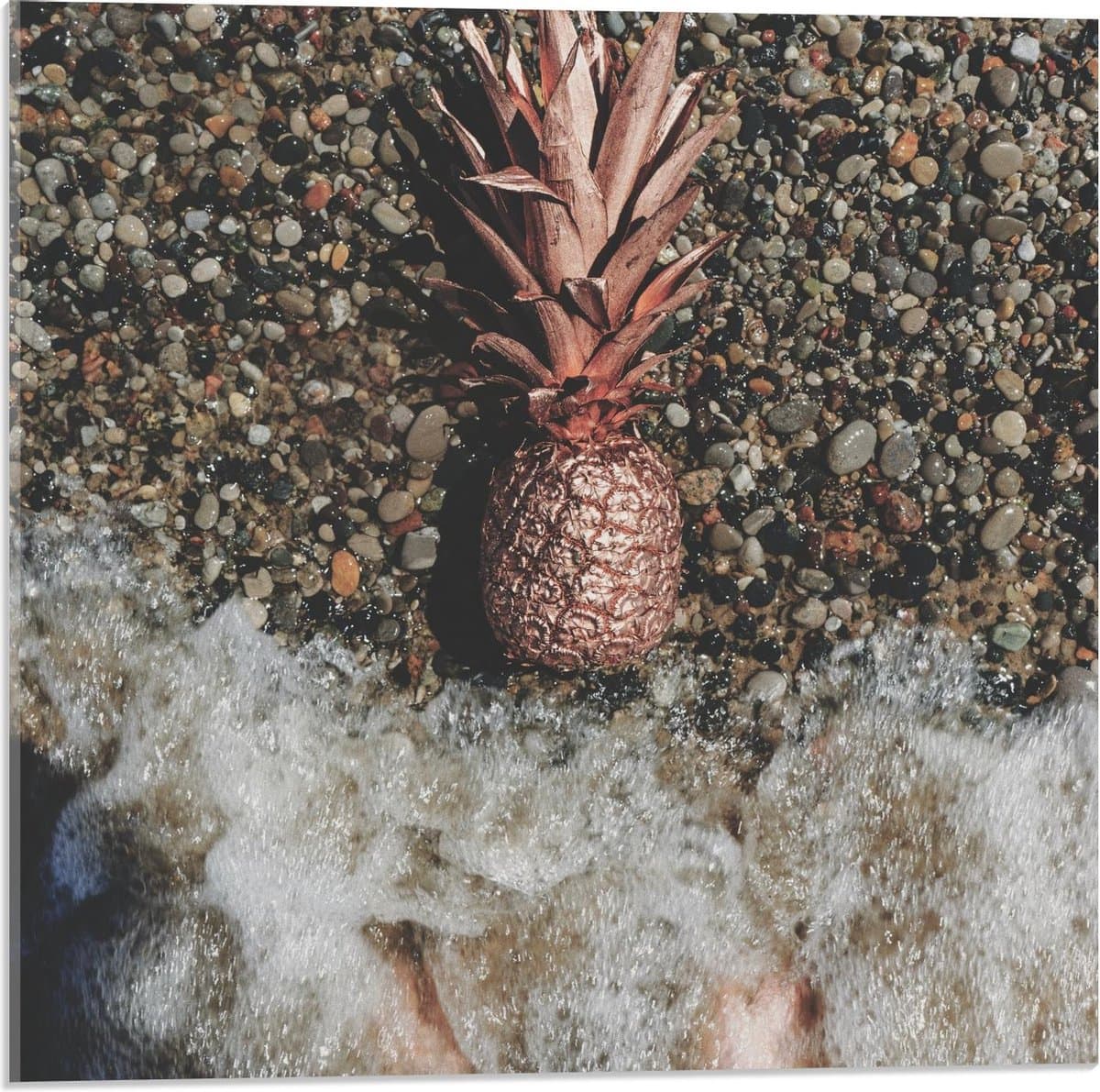 Acrylglas - Gouden Ananas Spoelt aan - 50x50cm Foto op Acrylglas (Met Ophangsysteem)