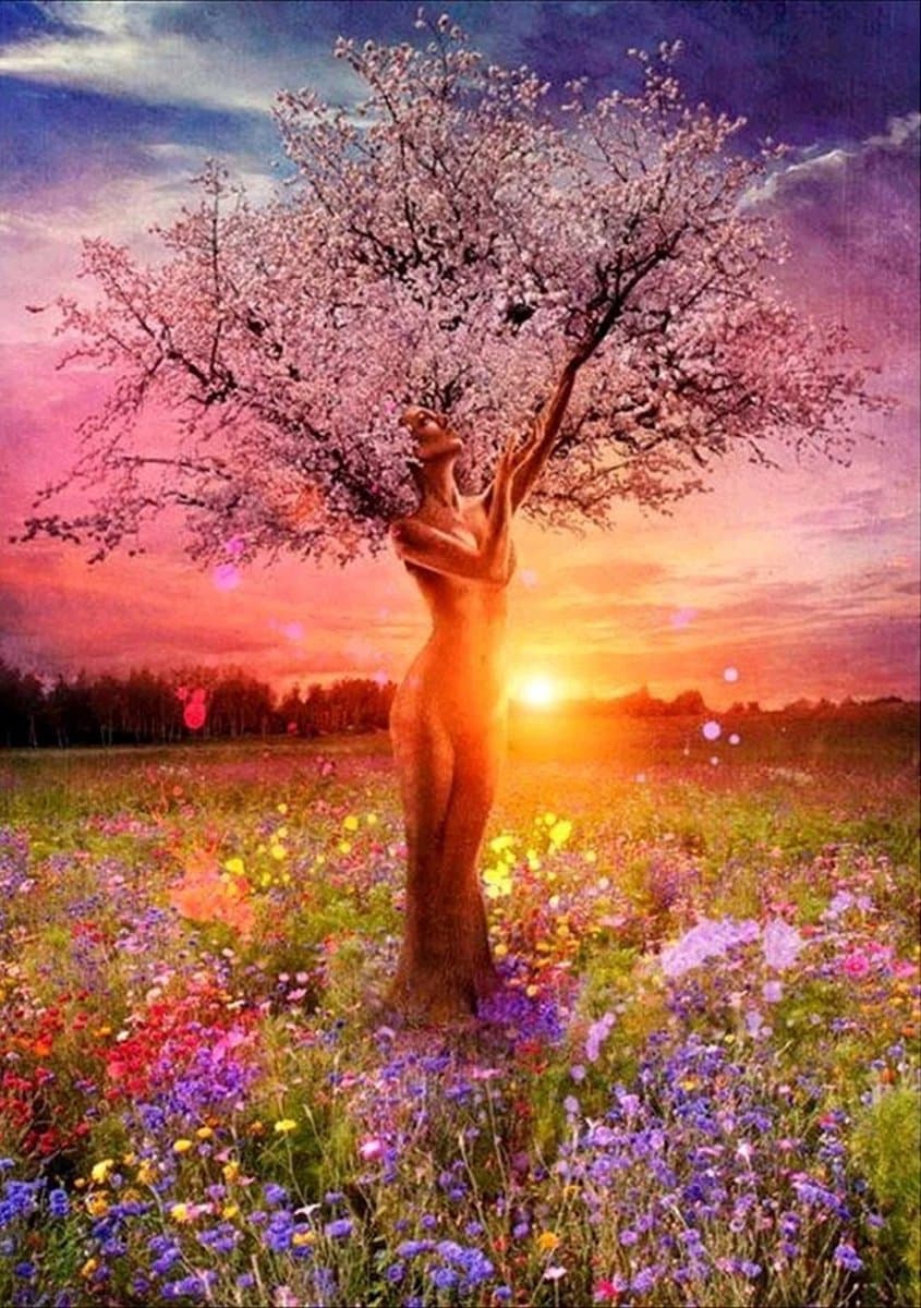 Huntex Diamond Painting Volwassenen - Diamond Painting Kinderen - Diamond Painting Pakket Volledig - Boom Zonsondergang - 30x40 cm