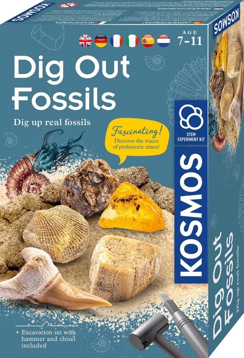 Kosmos Dig Out Fossils – Experimenteerset – Graaf echte fossielen op en ontdek de oertijd – Inclusief steenkoraal, barnsteen en meer – Fossielen uitgraven