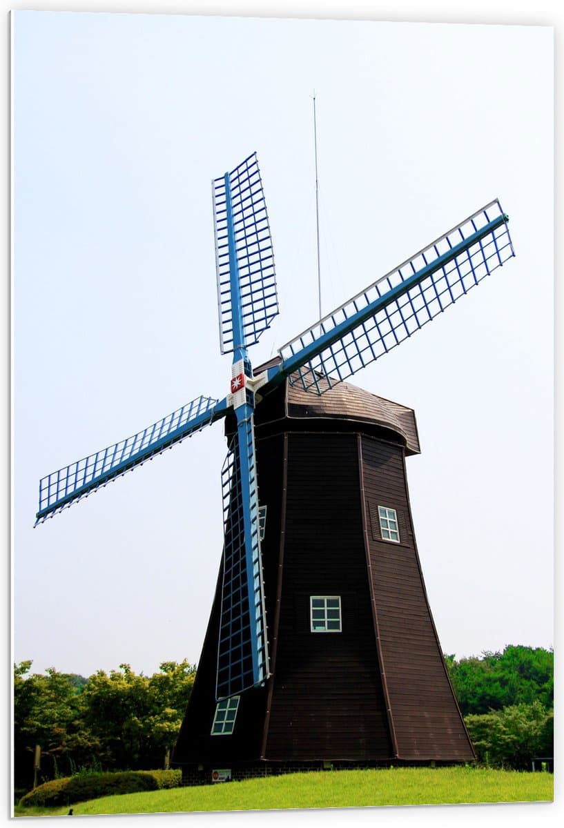 PVC Schuimplaat - Windmolen met Blauwe Molens in Weide - 60x90 cm Foto op PVC Schuimplaat (Met Ophangsysteem)