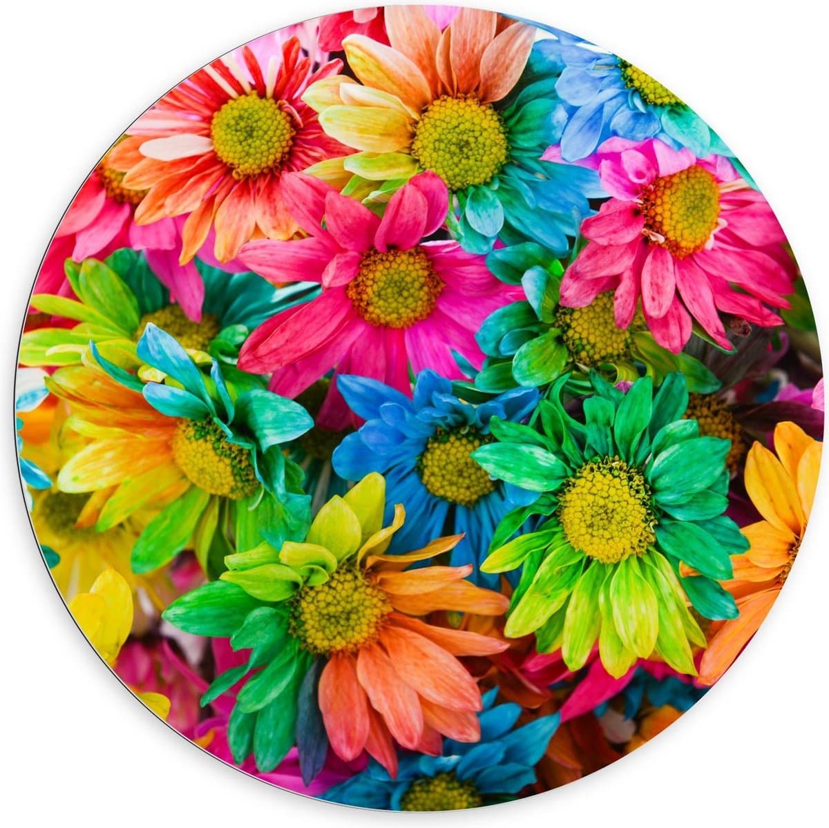 Dibond Wandcirkel - Neonkleuren Bloemen - 100x100cm Foto op Aluminium Wandcirkel (met ophangsysteem)