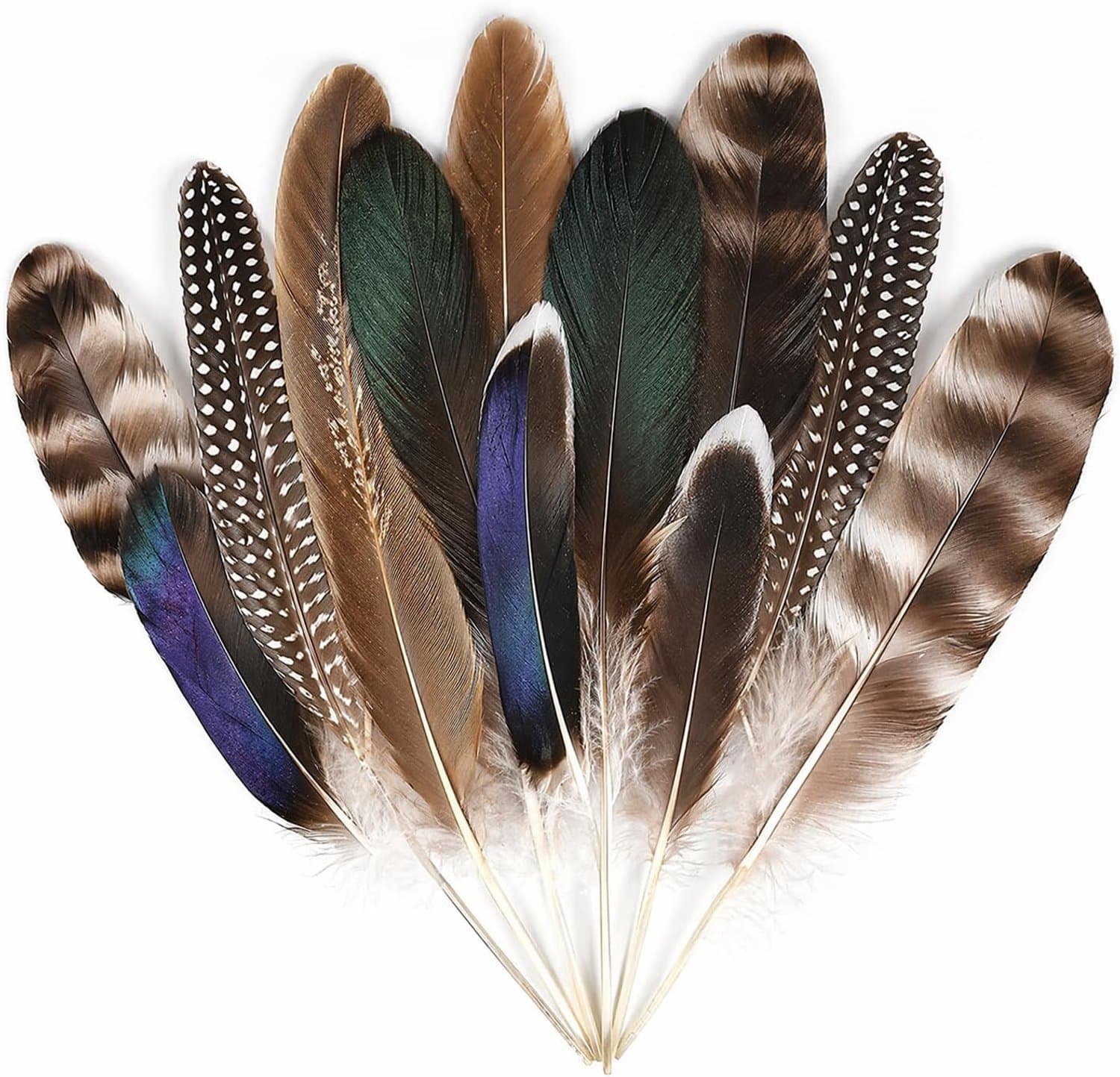 12 stuks knutselveren, decoratieve veren, mix set 10-23 cm, veren om te knutselen voor dromenvangers, haarbanden - ShopVlot