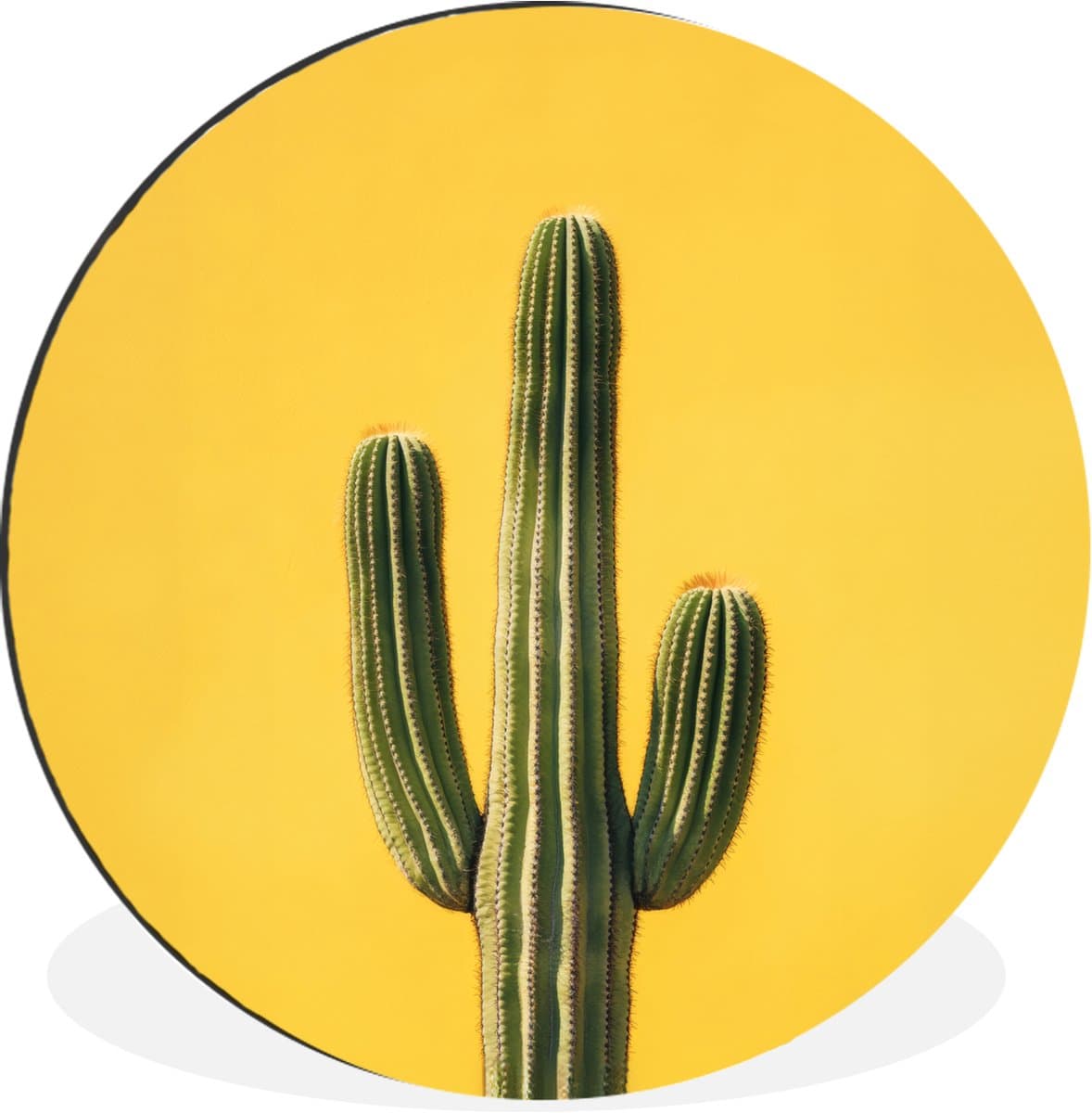 WallCircle - Wandcirkel - Muurcirkel - Cactus - Groen - Minimalistisch - Aluminium - Dibond - 90x90 cm - Binnen en Buiten