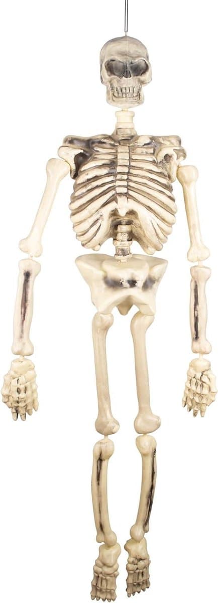 Skelet Decoratie - Halloween Skelet - Feestversiering - Met Scharnier - 150 cm - Wit