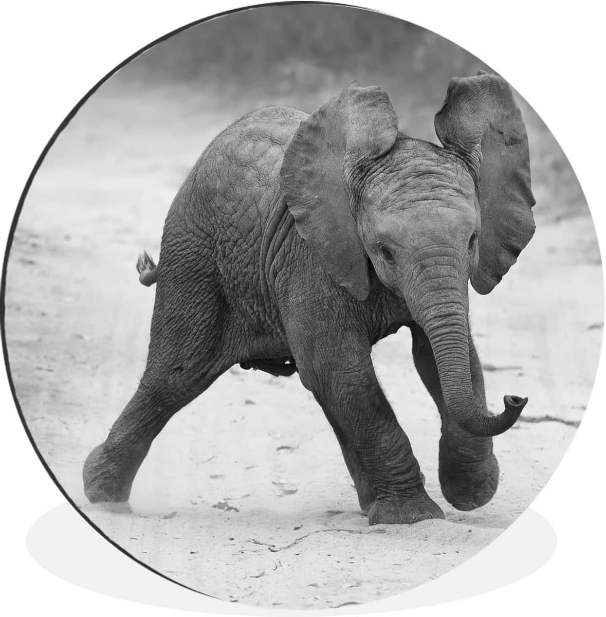 Ronde Wandcirkel 90x90 cm Baby Olifant Zwart-Wit voor Binnen en Buiten