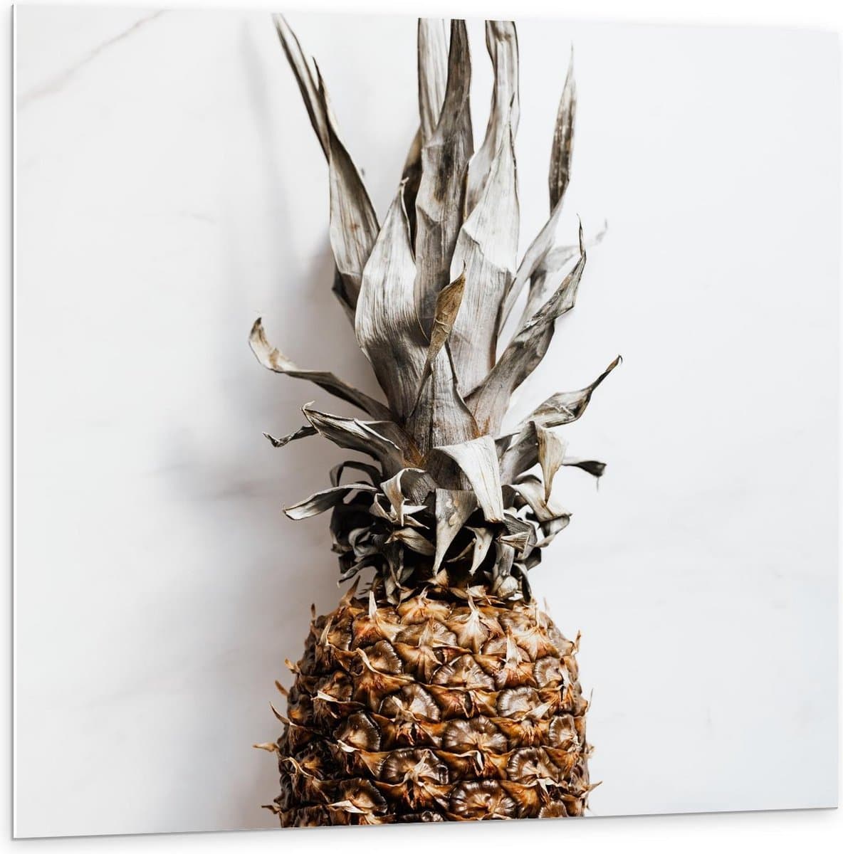 Forex - Gele Ananas op Witte Achtergrond - 100x100cm Foto op Forex
