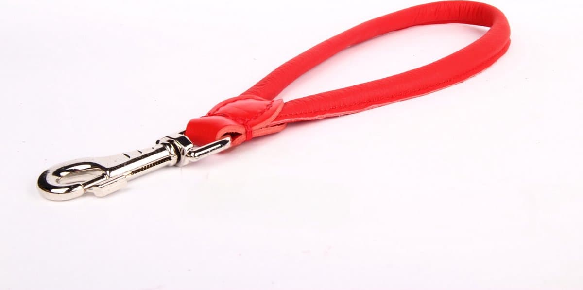 Dog's Companion - Leren Korthouder Hond - Lengte: 36 cm x 12 mm - Rood