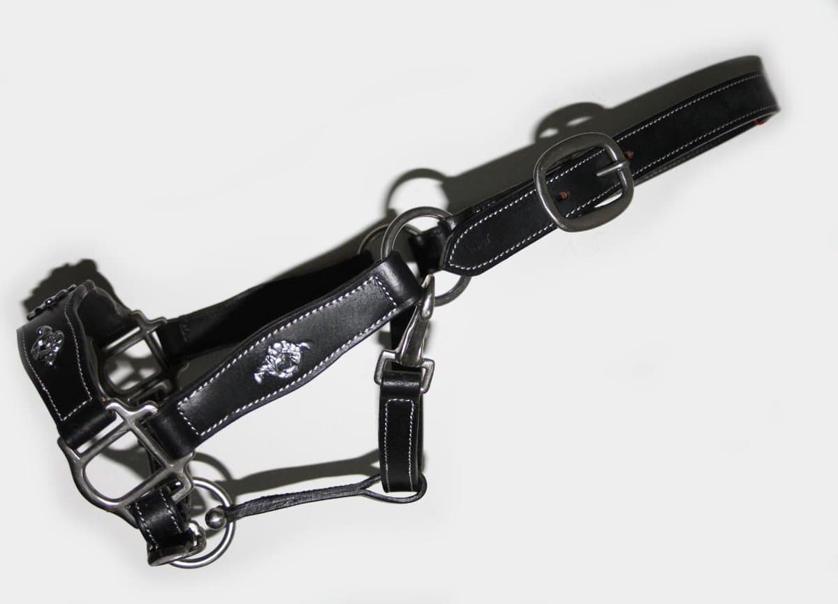 Lederen Barok halster, zwart met zilver, PONY
