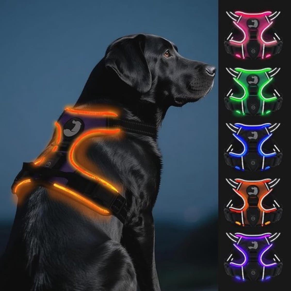 Verstelbaar Lichtgevend Hondenharnas voor Grote Honden – Reflecterend en Veilig voor Nachtwandelingen