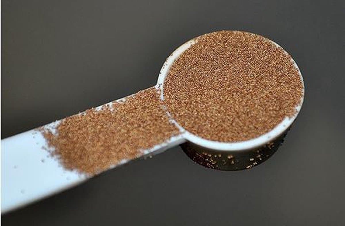 Artemia Eieren (100 Gram)