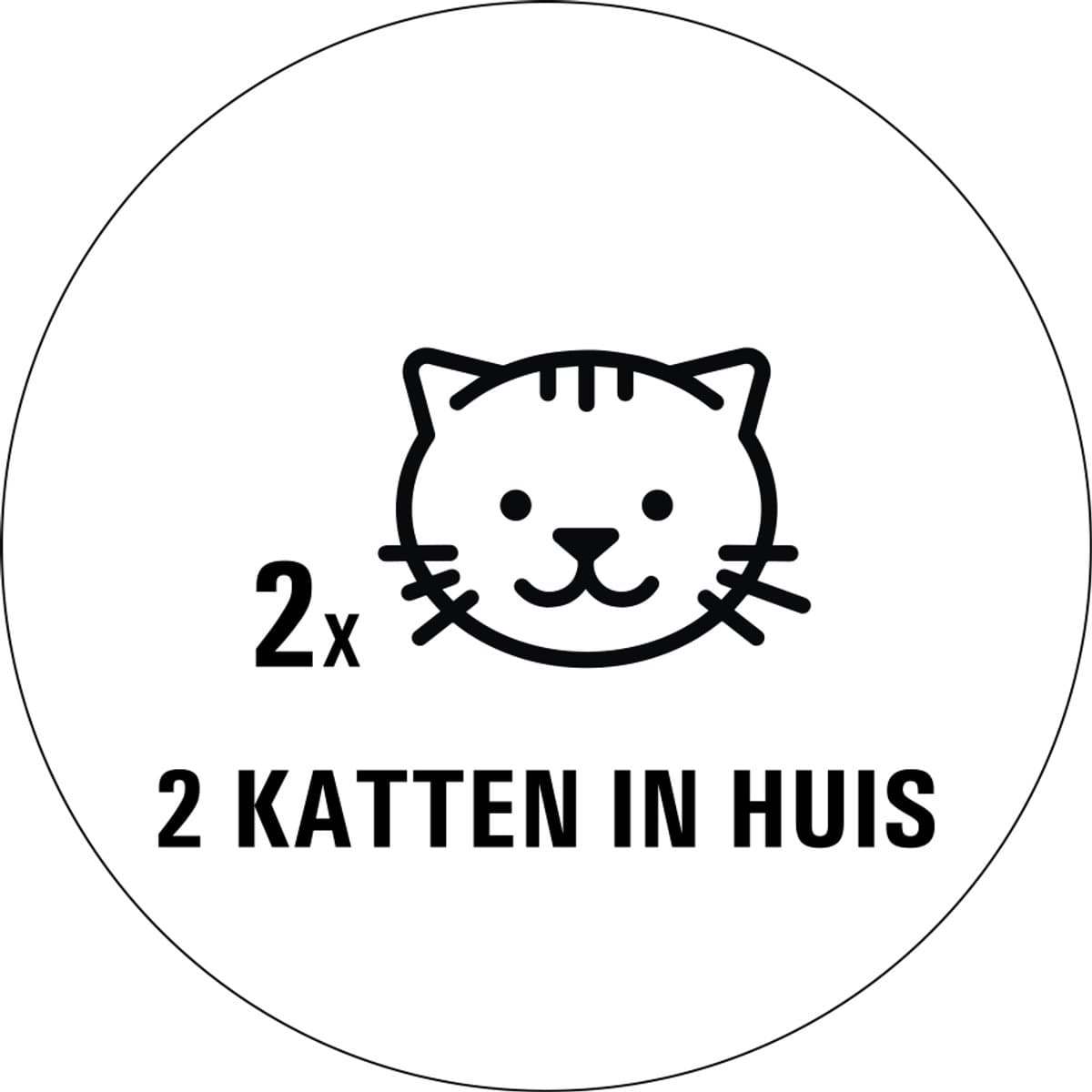 Katten in huis sticker - 80 x 80 mm 2