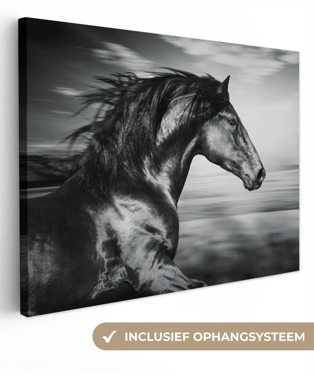 Canvas schilderij - Dieren - Paard - Natuur - Zwart - Wit - Woondecoratie - 40x30 cm - Foto op canvas - Canvas doek