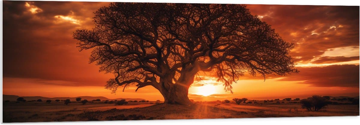PVC Schuimplaat- Boom - Landschap - Zonsondergang - Gras - Oranje - 150x50 cm Foto op PVC Schuimplaat