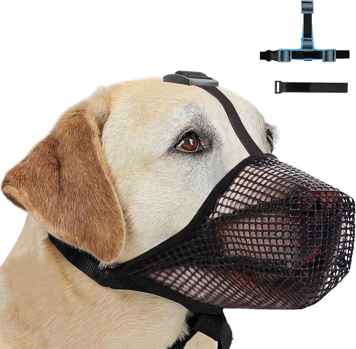 Muilkorf voor grote honden, ademend huisdiermasker, hondentraining, middelgrote muilkorf voor bijten en kauwen, zachte mesh-muilkorf voor kleine, middelgrote en grote honden