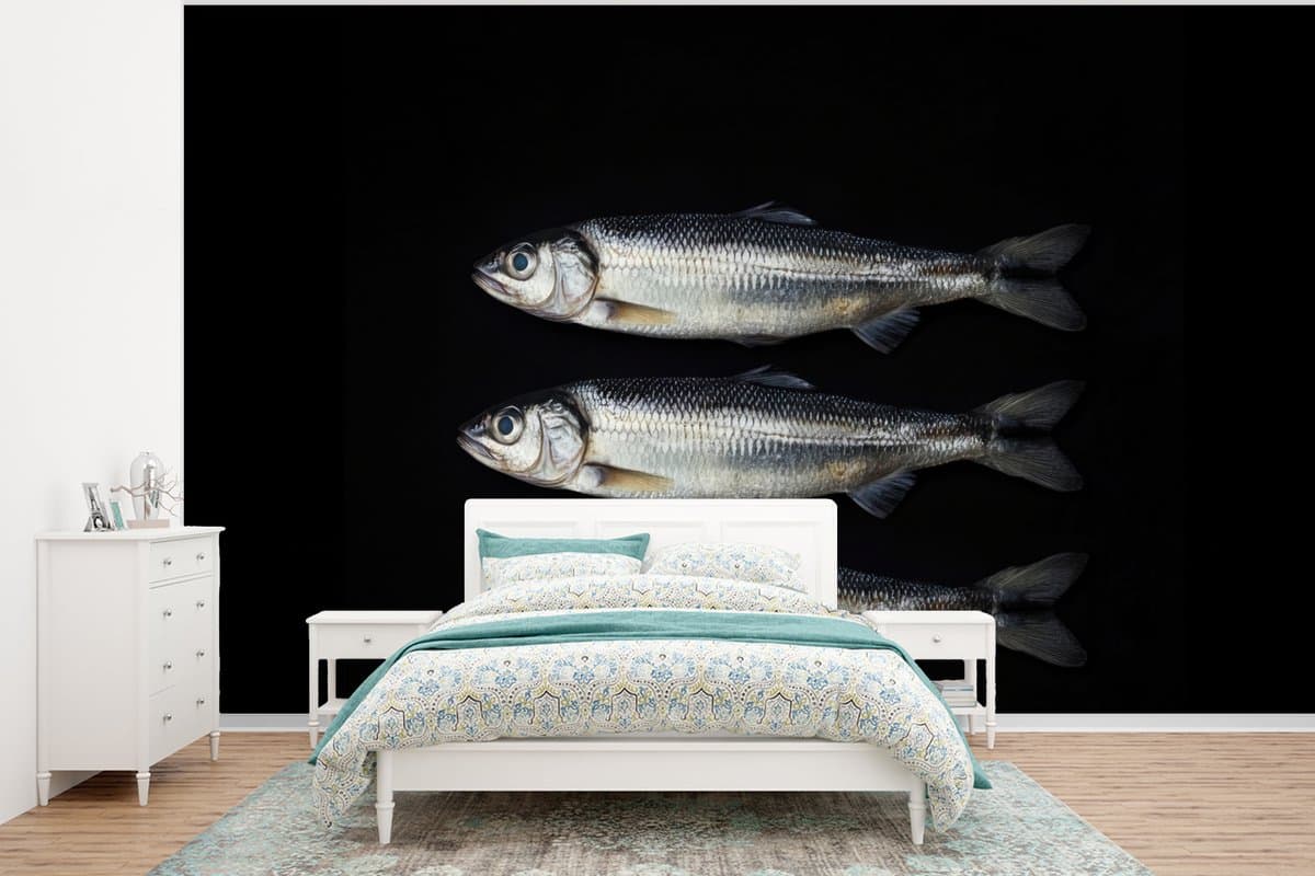 Behang - Fotobehang Haring - Vissen - Zwart - Breedte 375 cm x hoogte 280 cm