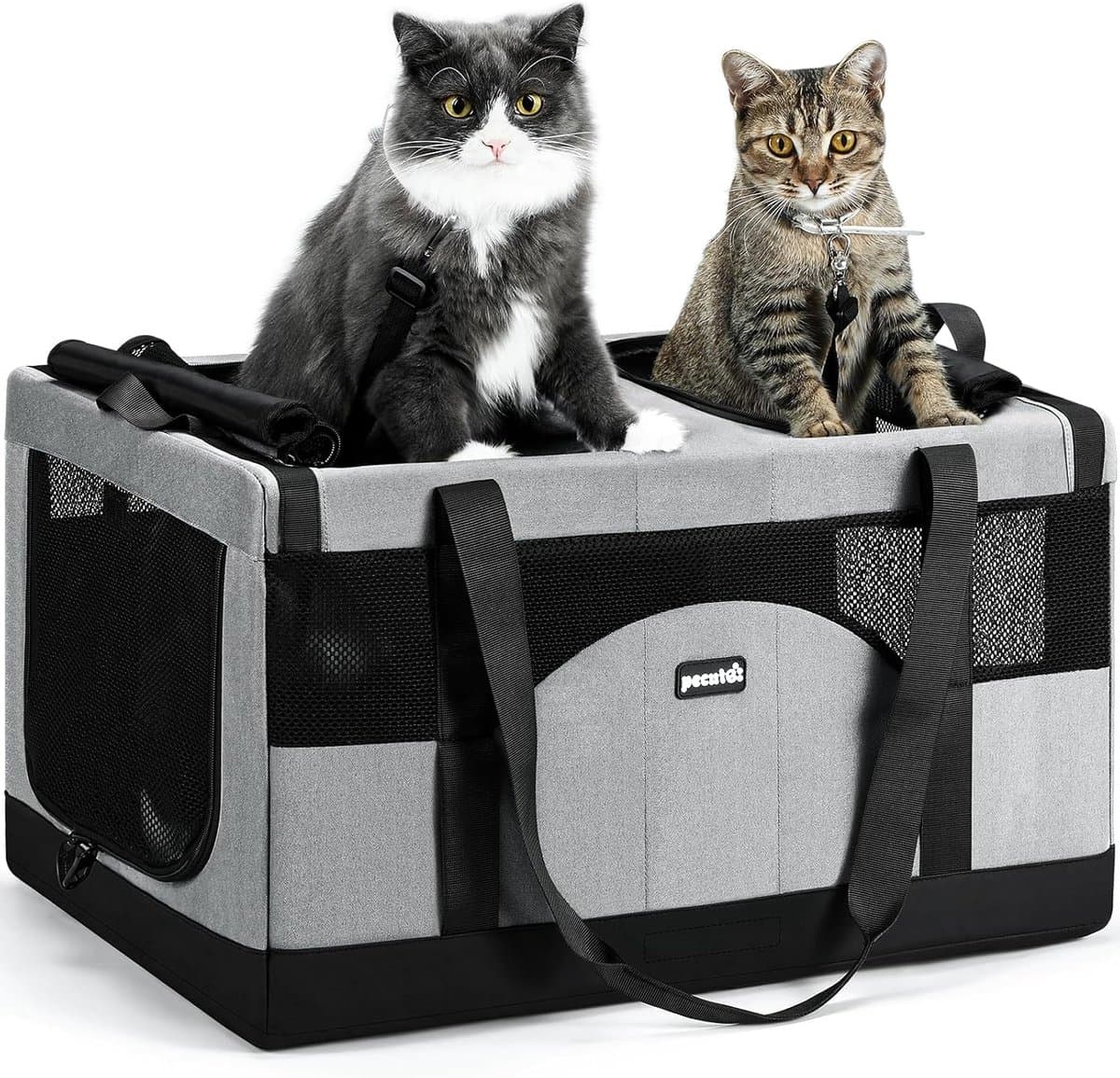 Dubbele Katten Transportbak – Ademend, Opvouwbaar en Extra Stabiel voor Reizen en Dierenartsbezoek
