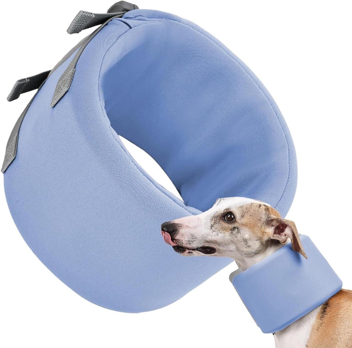 Honden Herstelband - Neksteun Hond - Wondverzorging - Verstelbaar Ontwerp - Maat L - Blauw