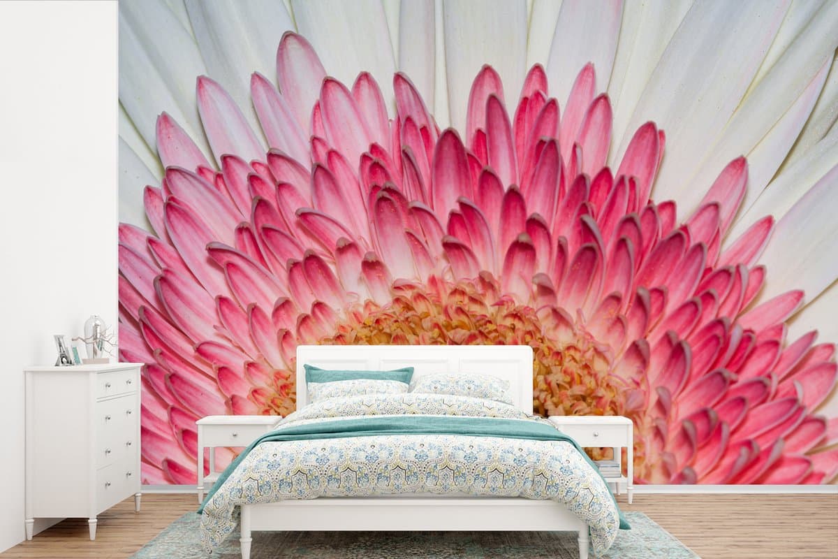 Behang - Fotobehang Bloemen - Roze - Gerbera - Breedte 330 cm x hoogte 220 cm