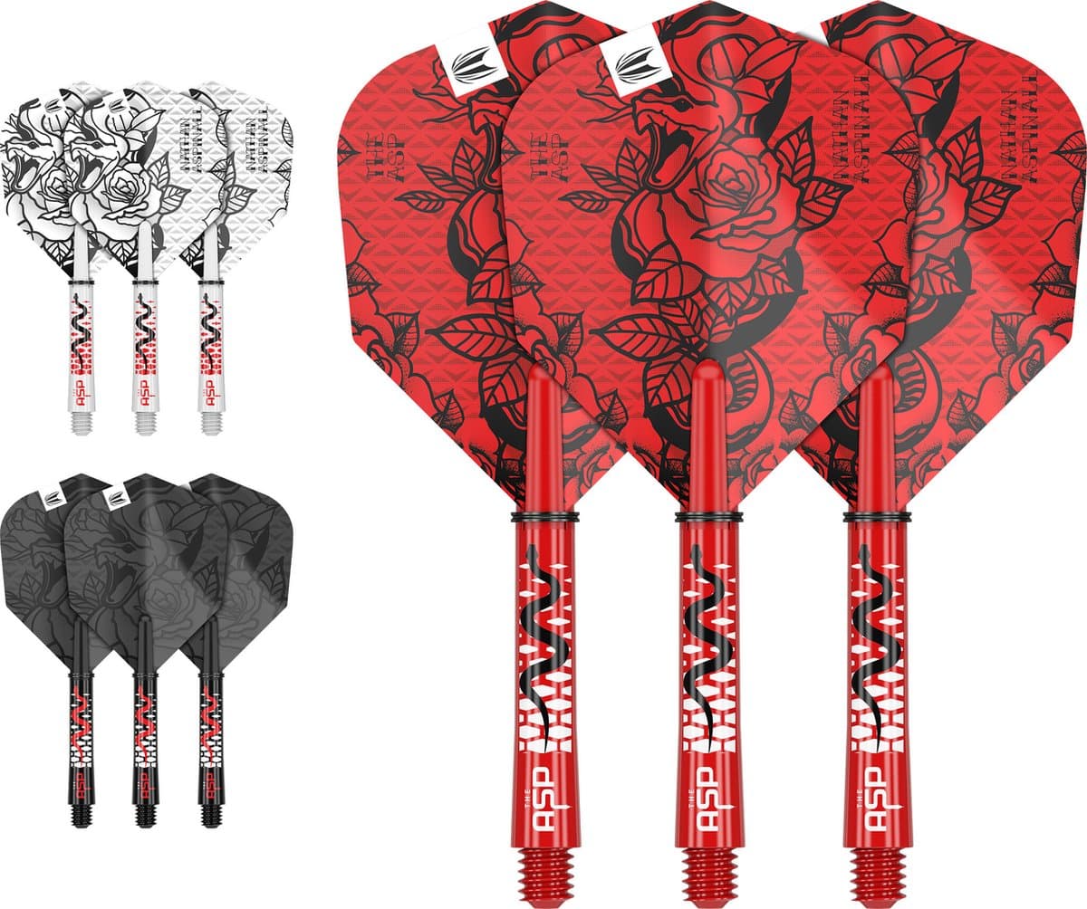 Target Nathan Aspinall Ink Flight Shaft Kit - Dart Flights