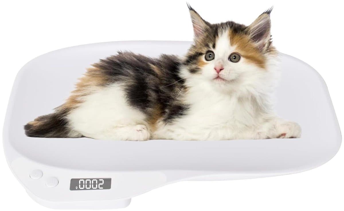 Digitale Huisdierenweegschaal - Kleine Dieren Weegschaal - Gezondheid Monitoren - Nauwkeurig tot 1 gram - Tot 15 kg - Wit