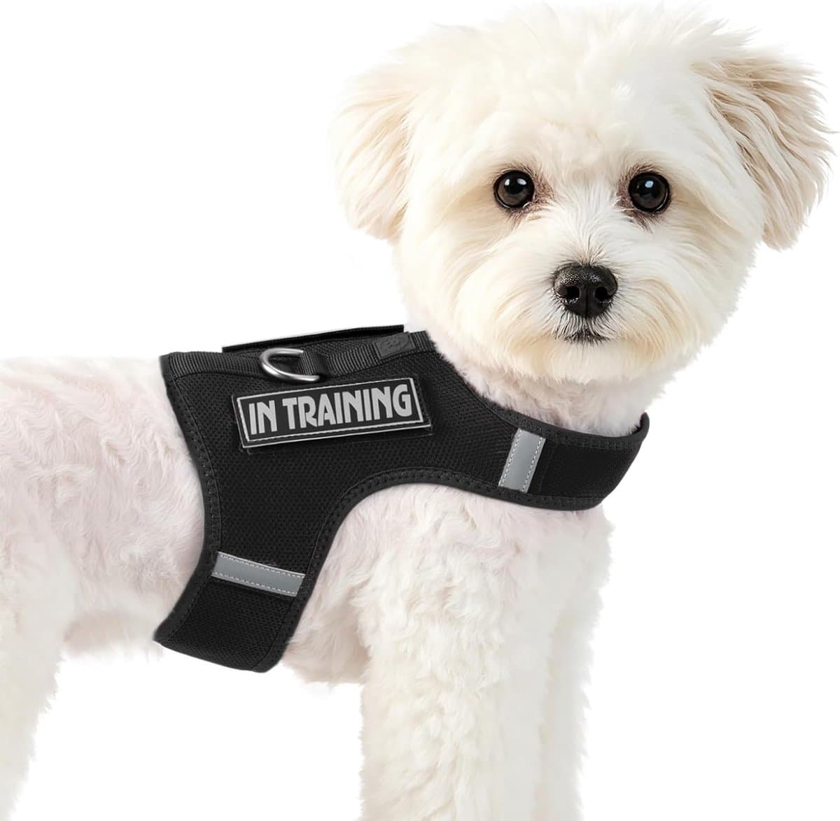 Puppyharnas voor kleine honden + 2 klittenbandpatches, zwart