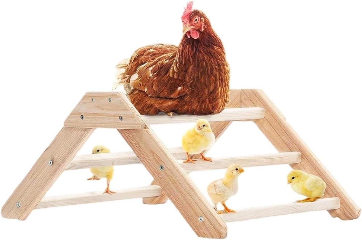 Kippenbaars - Vogel zitstok - Pluimvee training - Antislip structuur - 815 gram - Houtkleur