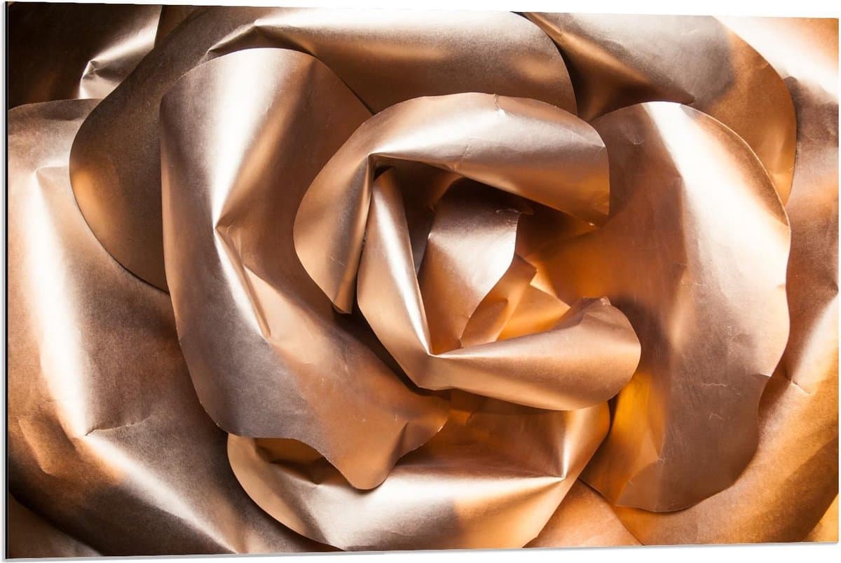 Dibond - Rose Roos - 90x60cm Foto op Aluminium (Met Ophangsysteem)