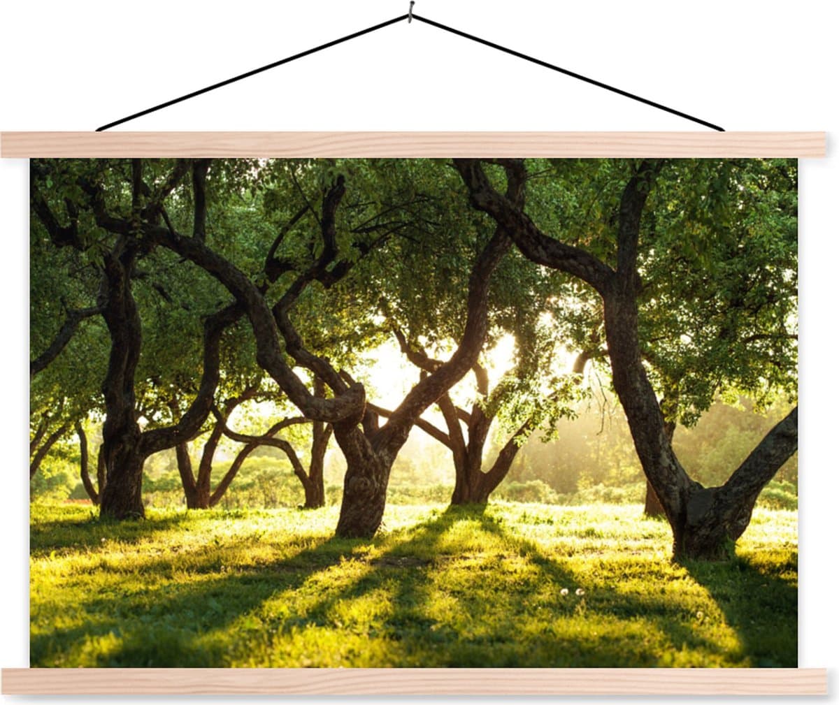 Posterhanger incl. Poster 120x80 cm - Schoolplaat - Bomen - Natuur - Zon - Textielposter - Blanke latten