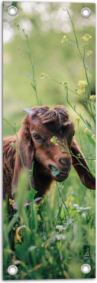 Tuinposter – Langorige Bruine Geit lopend in het Bloemenveld - 20x60 cm Foto op Tuinposter (wanddecoratie voor buiten en binnen)