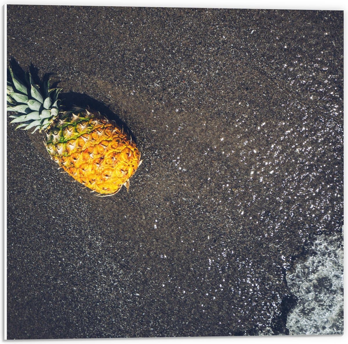 PVC Schuimplaat - Ananas op het Strand met Zee - 50x50 cm Foto op PVC Schuimplaat (Met Ophangsysteem)