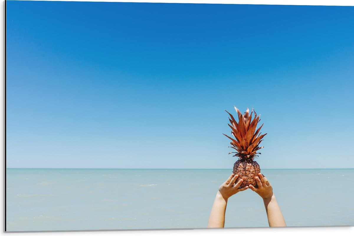 Dibond - Ananas boven de Zee - 75x50 cm Foto op Aluminium (Wanddecoratie van metaal)