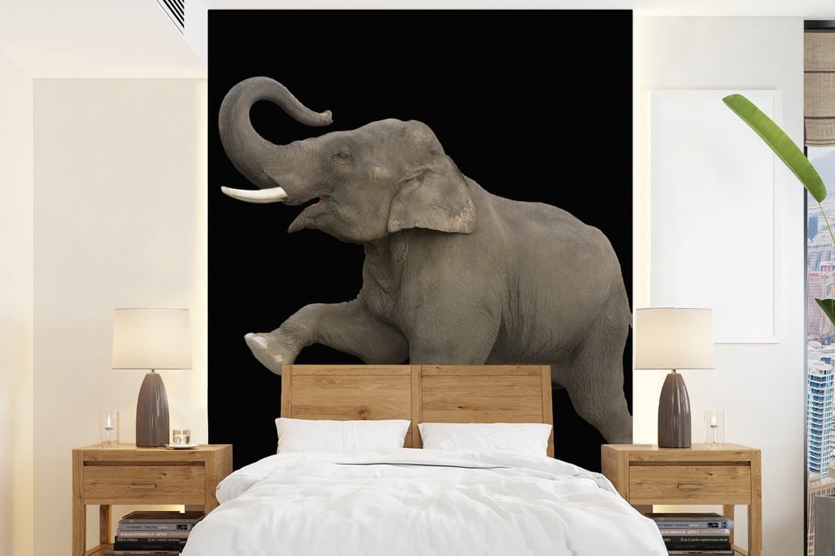 Behang - Fotobehang Olifant - Dieren - Zwart - Portret - Breedte 205 cm x hoogte 280 cm