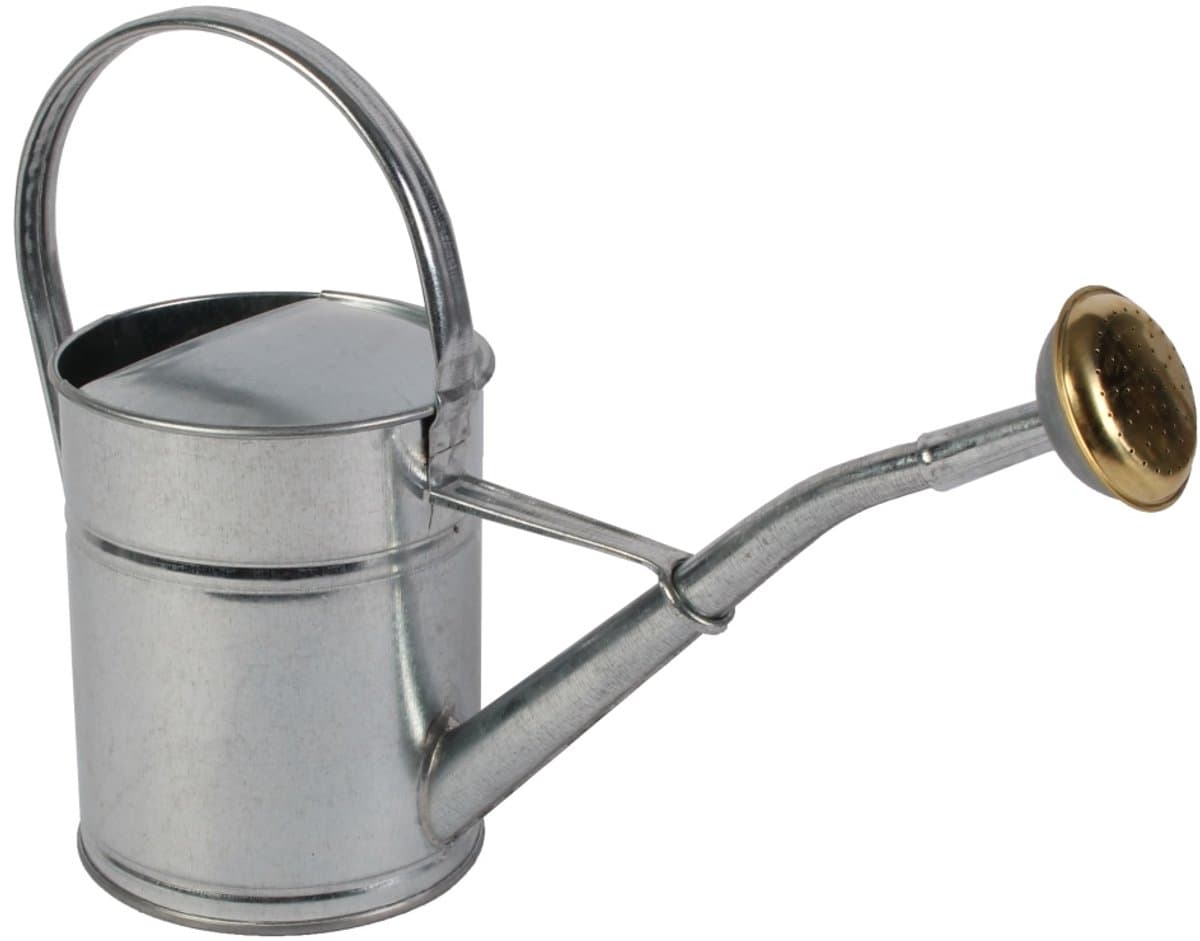 Talen Tools - Gieter - Metaal - 2L - Verzinkt