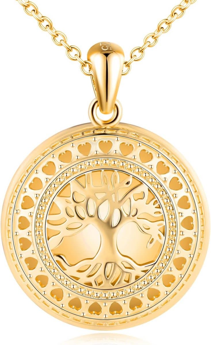 925 Sterling Zilveren Ronde Locket Hanger voor Foto Elegante Ketting voor Vrouwen en Meisjes