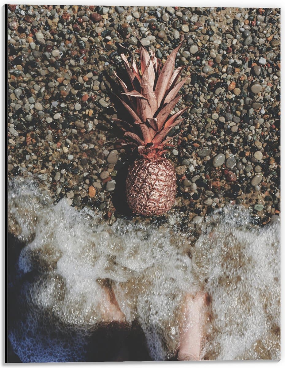Dibond - Ananas op Kiezelstrand - 30x40 cm Foto op Aluminium (Met Ophangsysteem)