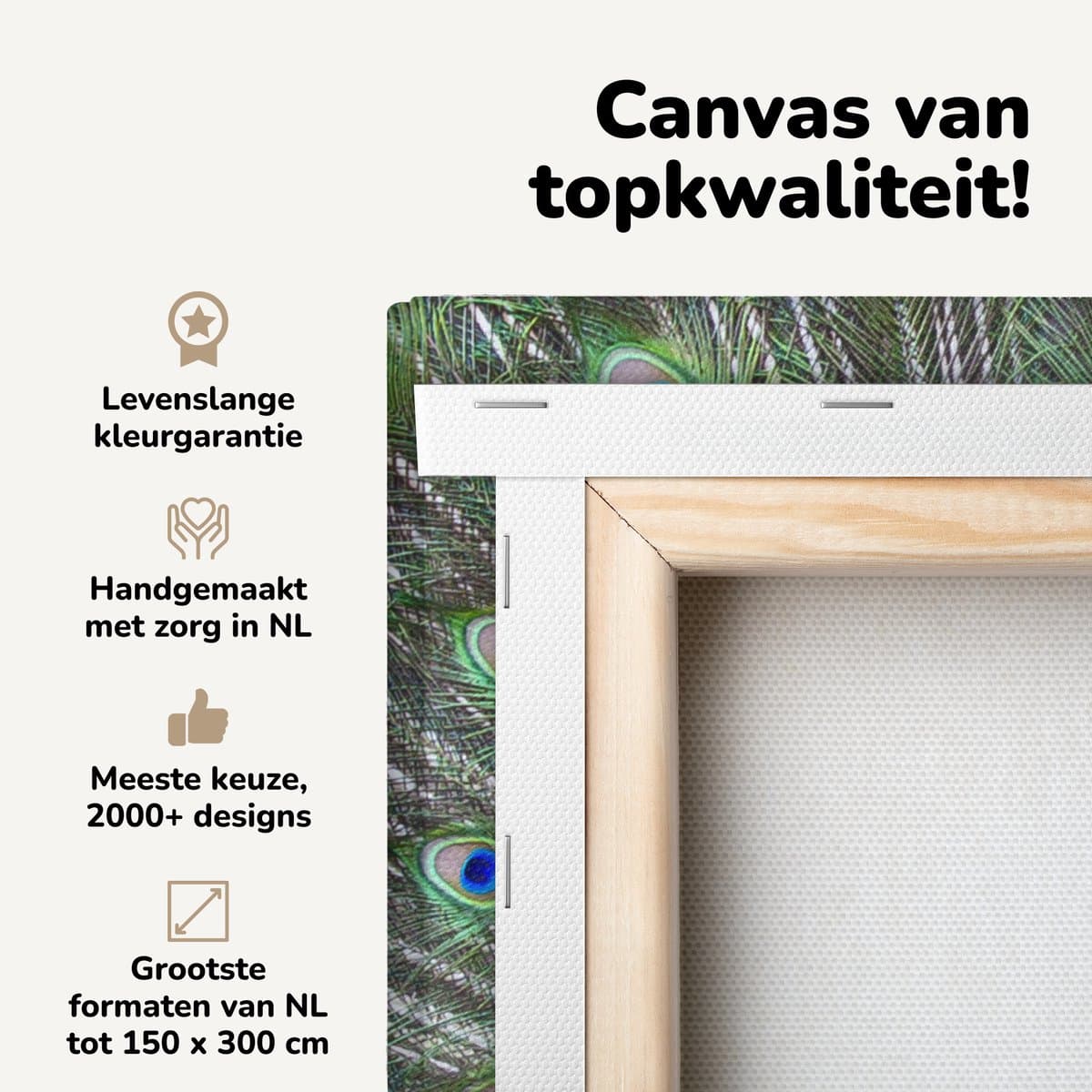 Canvas schilderij 20x20 cm - Wanddecoratie Pauw - Vleugel - Staart - Muurdecoratie woonkamer - Slaapkamer decoratie - Kamer accessoires - Schilderijen op canvas