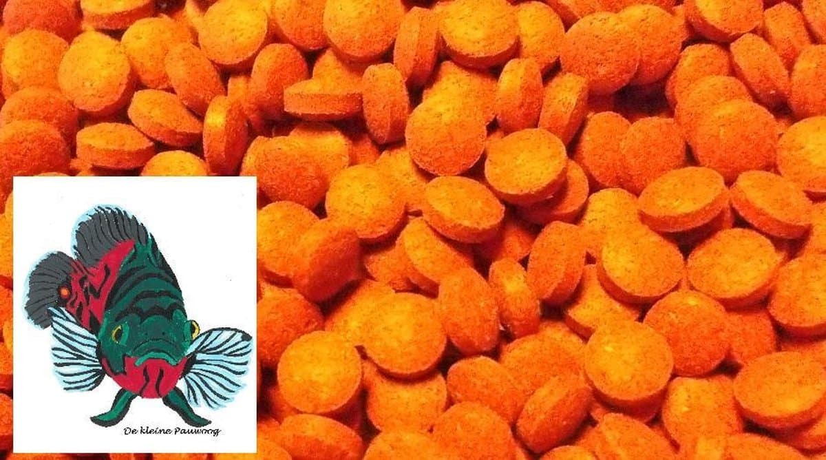 mini bodem tabletten rood ( 1 L pot )