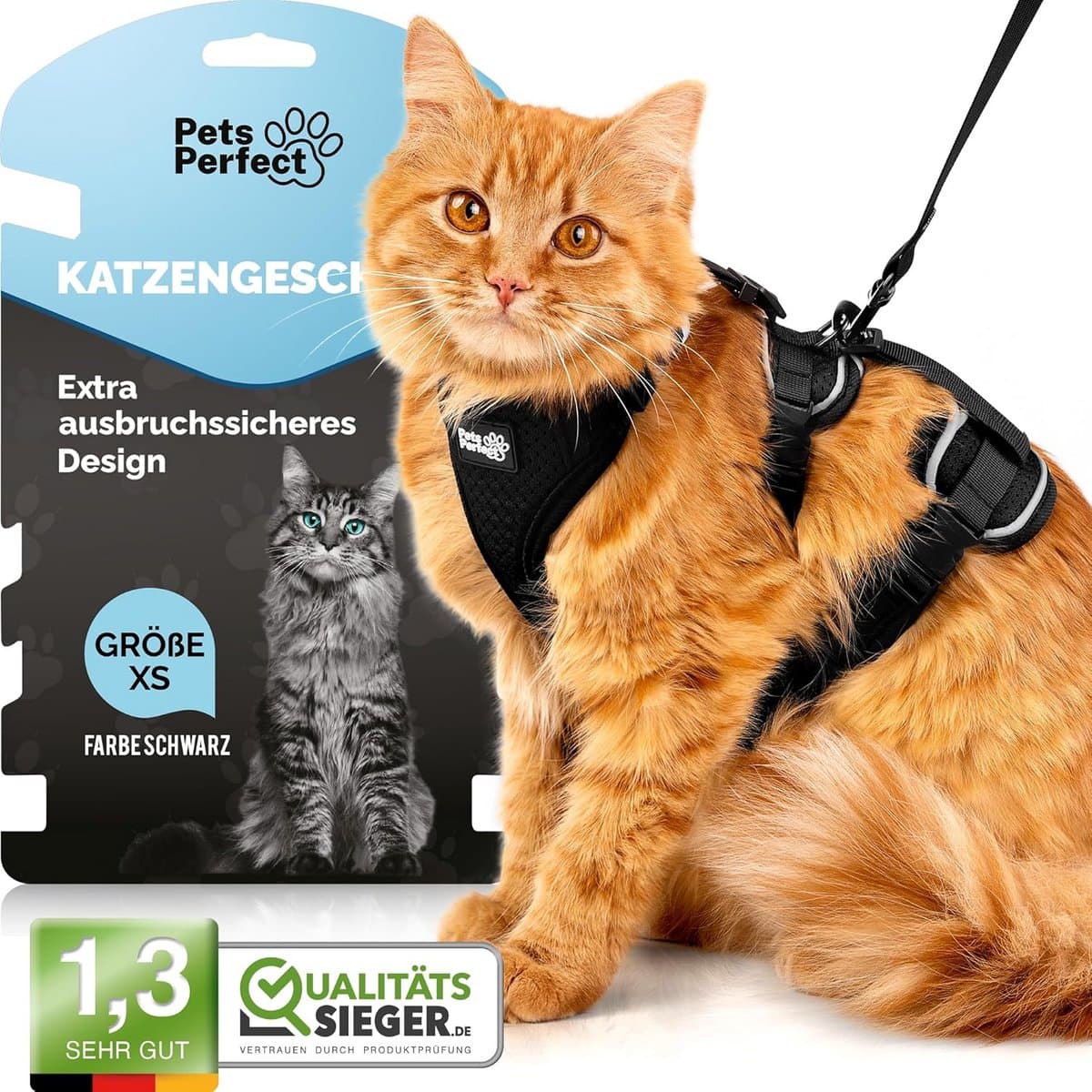 Veilige Kattenharnas Set met Verstelbare Lijn voor Buitenwandelingen