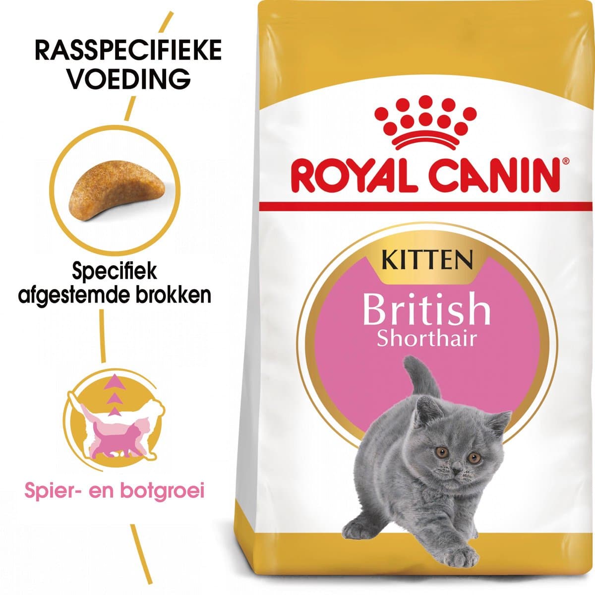 Royal Canin British Shorthair Kitten - 10 kg - Kitten-Kattenvoer