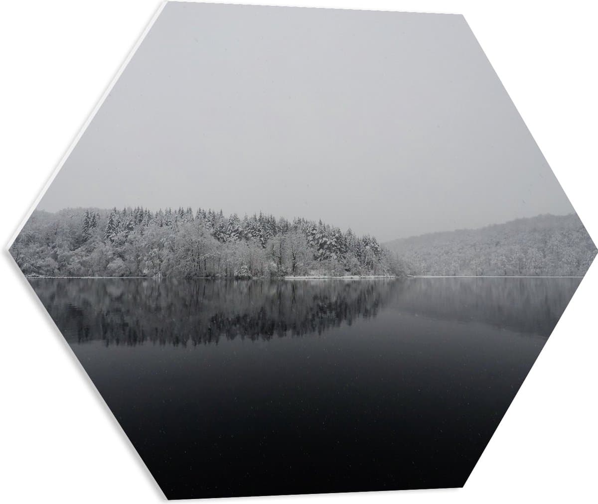 PVC Schuimplaat Hexagon - Winter Meer - 60x52.2 cm Foto op Hexagon (Met Ophangsysteem)