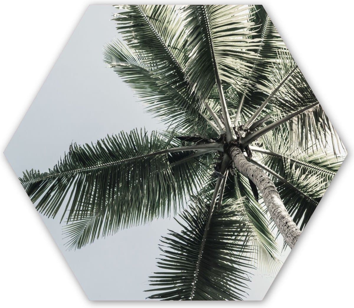 Hexagon wanddecoratie - Kunststof Wanddecoratie - Hexagon Schilderij - Palmboom - Tropical - Zomer - 75x65 cm