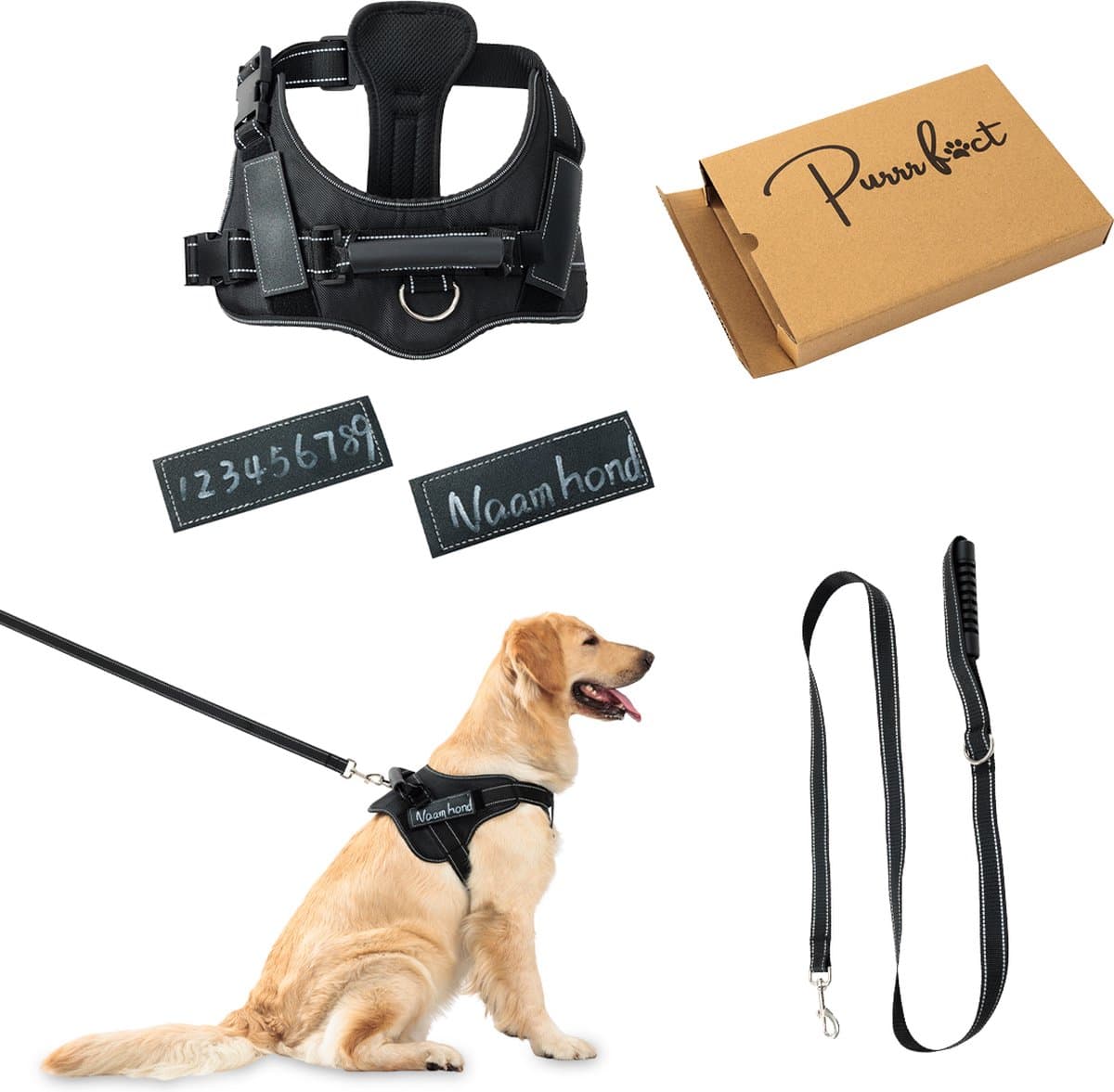 Purrr fect Hondentuigje met Riem - Anti-Trek Tuig - Hondenharnas - Y Tuig hond - Waterproof - Reflecterend - Verstelbaar - Maat M
