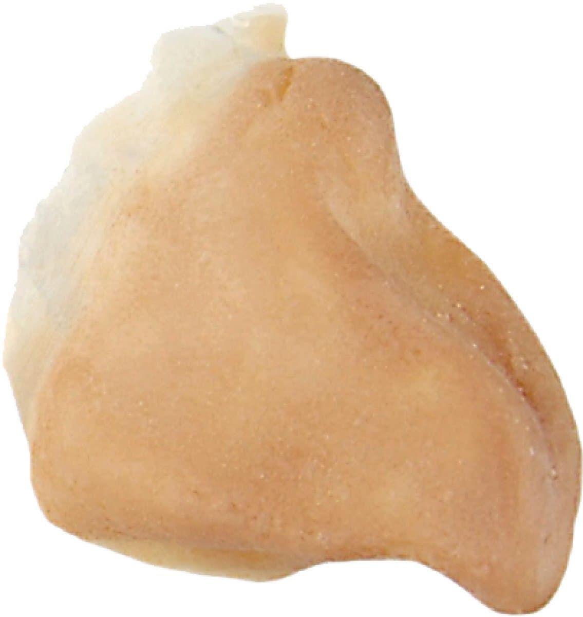 Latex prothese - Snavel - Roofvogel - 301
