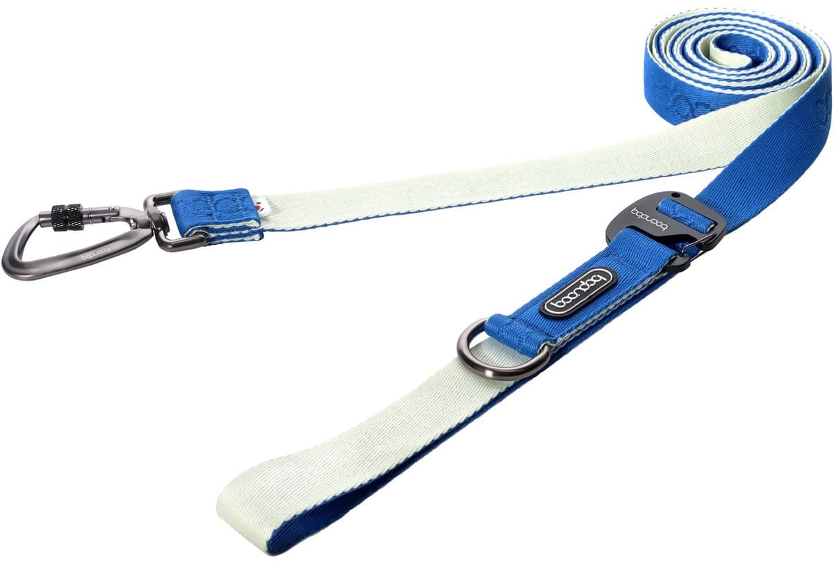 Boondog Hondenriem 3.2m - Verstelbaar - Multifunctioneel - Extra Sterke Nylon Riem - Meer Bewegingsvrijheid - Karabijnhaak - Cream/Blue - Maat S