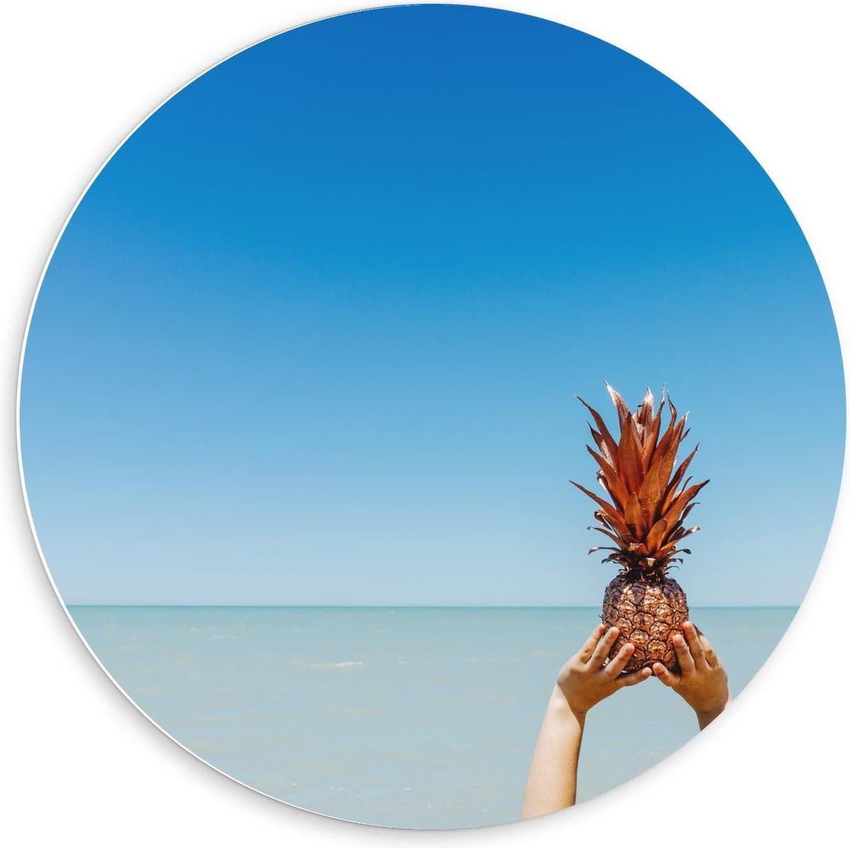 Forex Wandcirkel - Gouden Ananas in de Lucht - 60x60cm Foto op Wandcirkel (met ophangsysteem)